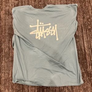 Brand new never worn without tags long sleeve stussy t-shirt in blue.